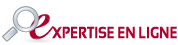expertise en ligne